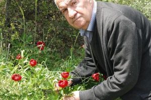 Yok olma tehlikesi ile karşı karşıya