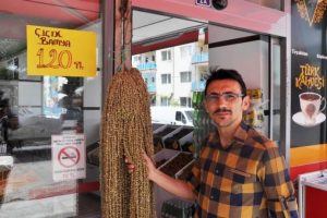 Bamya altınla yarışıyor