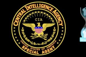 WikiLeaks'ten jet yanıt