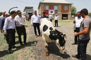 TİKA'dan Azerbaycan &ccedil;ift&ccedil;isine destek