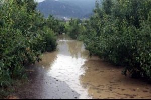 Bursa Ovası'nı dolu vurdu