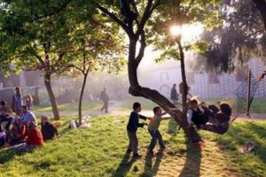 Hava sıcaklığı 5 derece artacak