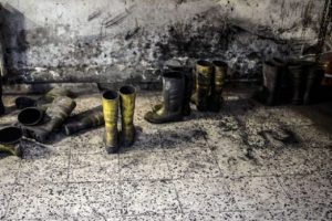 Soma faciasında bir ilk