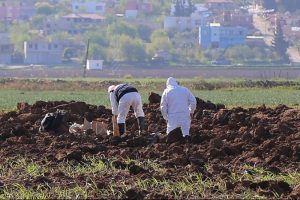 Ceylanpınar'a 2 top mermisi d&uuml;şt&uuml;