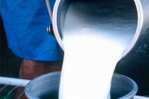 &Ccedil;iğ s&uuml;t fiyatları 10 kuruş artırıldı