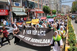 BDP'lilerden "Lice" protestosu