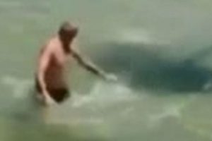 Kızgın vatoz canından ediyordu