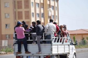 Kamyonet kasasında tehlikeli yolculuk!