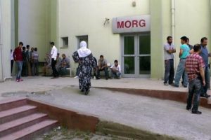 Vahşet! Başı taşla ezilip...