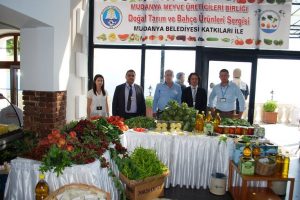 Kiraz ihracatını yağmur vurdu