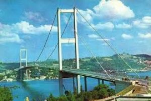 Boğazi&ccedil;i K&ouml;pr&uuml;s&uuml;'ne kedi yolu!
