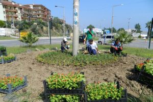 Mudanya &ccedil;i&ccedil;ek a&ccedil;ıyor