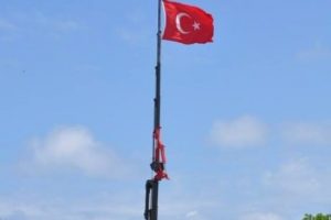 Lice'deki olaya ilgin&ccedil; protesto