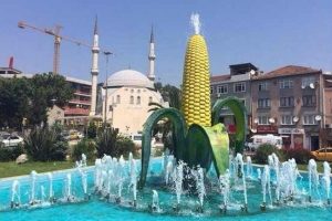 Bu fotoğraf sosyal medyayı salladı