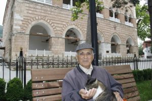 Kedileri besleyerek hayata tutunuyor