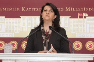 Ekmeleddin İhsanoğlu i&ccedil;in HDP'den ilk değerlendirme geldi