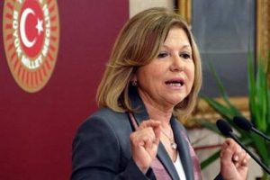 CHP'li Serter'den &ccedil;atı adaya tepki