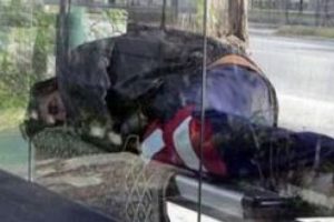 &Uuml;nl&uuml; oyuncunun acı sonu