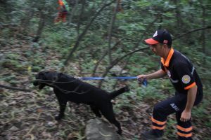 Uludağ'da kaybolan gen&ccedil; i&ccedil;in arama kurtarma seferberliği