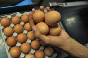 Yumurta piyasasında b&uuml;y&uuml;k panik