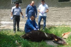 O k&ouml;y karatinaya alındı