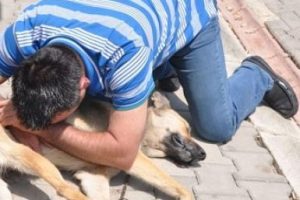 Bunu insan olan yapmaz