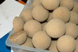 Kuzunun midesinden &ccedil;ıkanlar hayrete d&uuml;ş&uuml;rd&uuml;