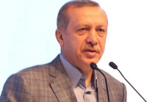 Global Somali Diasporası'nı kabul etti
