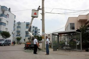 Karga yangın &ccedil;ıkarttı!