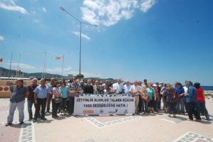 Zeytinciliğe darbe! &Uuml;reticiler alarmda