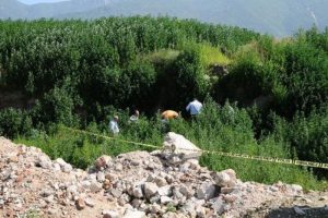 Bursa'da bonzaiye bir gen&ccedil; kurban daha!