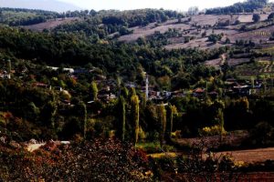 İnegazi i&ccedil;in şok karar! Artık sanayi alanı... - &Ouml;ZEL HABER