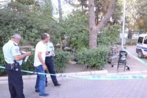 Beslediği kedilerin yanında hayatını kaybetti