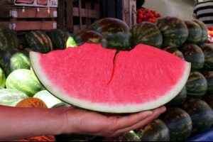 Ramazan'da susuzluğa karşı karpuz