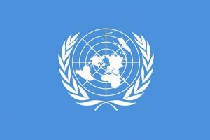 BM Irak &ouml;zel temsilcisi askeri m&uuml;dahale istedi