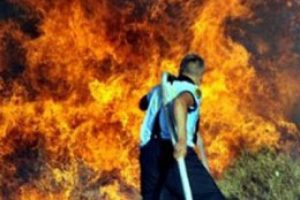 Bodrum'da yangın korkuttu