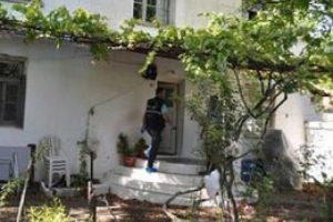 3 &ccedil;ocuk annesinin boğazını kestiler