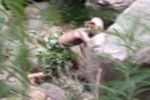 &Ccedil;in, Gollum'un fotoğraflarını konuşuyor