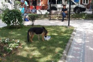 Onları unutmadılar!