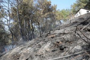 Yangına hortumla su sıkarak m&uuml;dahale ettiler