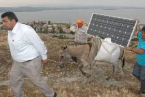 Eşek neredeyse internet orada!