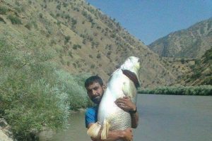 Jaws gibi m&uuml;barek !