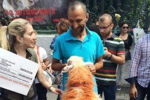 Hayvan severler yeni tasarıyı protesto etti