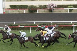 Gazi Koşusu'nu "Blaze To Win" kazandı