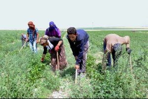 Onların Ramazan'da sıcakla imtihanı