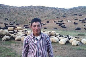 &Ccedil;oban 5 g&uuml;nd&uuml;r kayıp