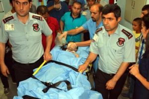 Minik Ş&uuml;kran yaşam savaşı veriyor