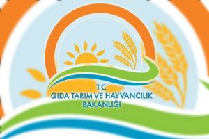 Taklit firmalar a&ccedil;ıklandı