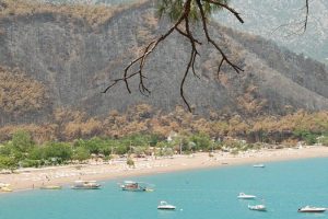 Adrasan'a ilk fidan sonbaharda dikilecek