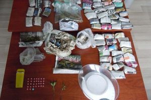 Altı ayda 84 kilogram ''bonzai'' ele ge&ccedil;irildi